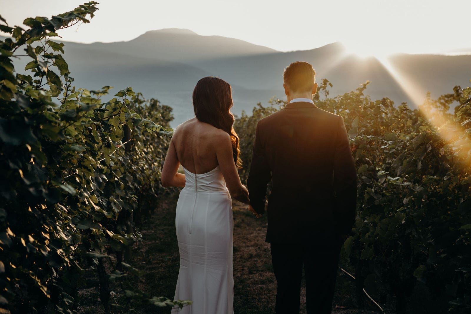 Bride and groom in vineyard at sunset
